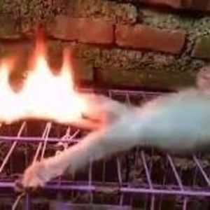 Meet your Posher, Steve